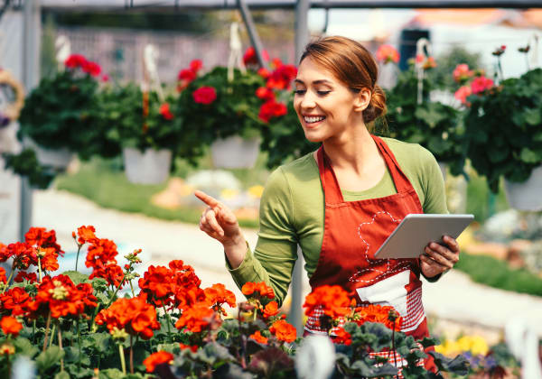 How To Buy For Garden Centres, Smarter Websites